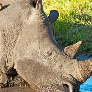 Explore Tanzania and Zanzibar for 14 days with Gebeco and discover unforgettable experiences - Photo 3