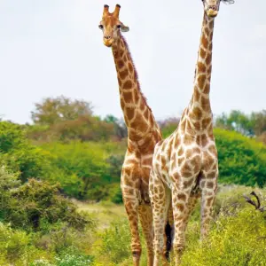 Explore The Highlights of Namibia for 15 days with Gebeco and discover unforgettable experiences - Photo 4