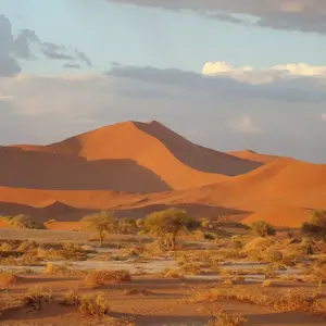 Explore The Highlights of Namibia for 15 days with Gebeco and discover unforgettable experiences - Photo 6