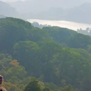 Explore Sri Lanka - Sacred Island of Buddhism for 15 days with Gebeco and discover unforgettable experiences - Photo 3