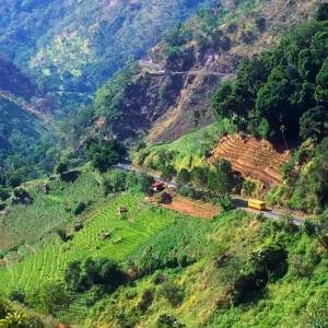 Explore Sri Lanka - Sacred Island of Buddhism for 15 days with Gebeco and discover unforgettable experiences - Photo 4