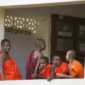 Explore Sri Lanka - Sacred Island of Buddhism for 15 days with Gebeco and discover unforgettable experiences - Photo 6