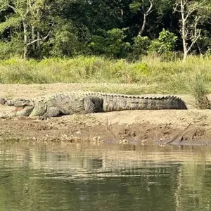 Explore Bardia Tower Night Stay Package for 3 days with Getaway Nepal Adventure Pvt. Ltd and discover unforgettable experiences - Photo 3