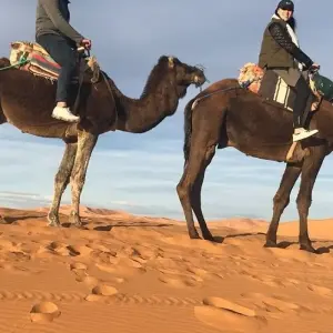 Explore Morocco 11 Days tour from Casablanca to Marrakech by Fes and desert for 11 days with Get Marrakech and discover unforgettable experiences - Photo 8