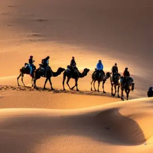 Explore 5 Day Morocco Sahara Desert Round Trip from Marrakesh to Erg Chebbi for 5 days with Get Marrakech and discover unforgettable experiences - Photo 9