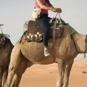 Explore 4 days Morocco desert tour from Marrakech to Merzouga for 4 days with Get Marrakech and discover unforgettable experiences - Photo 8