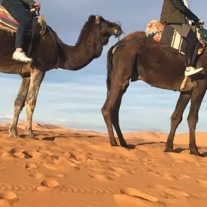 Explore 3 Days Morocco Desert Itinerary from Marrakech to Fes by Erg Chebbi Dunes for 3 days with Get Marrakech and discover unforgettable experiences - Photo 9