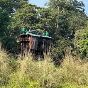 Explore Bardia Tower Night Stay Package for 3 days with Getaway Nepal Adventure Pvt. Ltd and discover unforgettable experiences - Photo 6