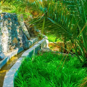 Explore Incredible Oman for 5 days with GidOman and discover unforgettable experiences - Photo 2