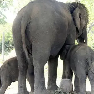 Explore Nepal Tour with Short Trek for 13 days with Getaway Nepal Adventure Pvt. Ltd and discover unforgettable experiences - Photo 5