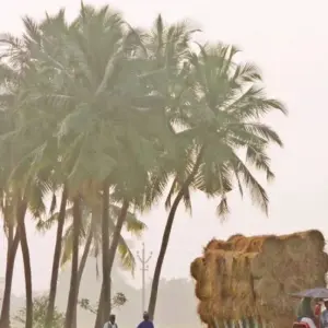 Explore 16 Days Golden Triangle Tour with South India and Backwaters for 16 days with Ghum India Ghum and discover unforgettable experiences - Photo 2