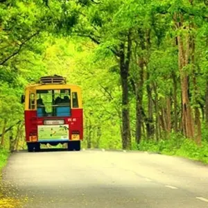 Explore 16 Days Golden Triangle Tour with South India and Backwaters for 16 days with Ghum India Ghum and discover unforgettable experiences - Photo 6