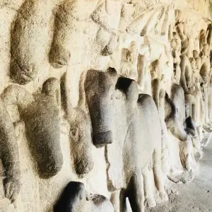 Explore Exclusive Culinary Tour of South India - ( 15 Days & 14 Nights ) for 15 days with Ghum India Ghum and discover unforgettable experiences - Photo 7