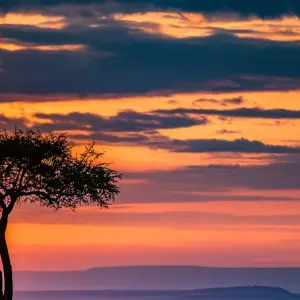 Explore The Kenyan Safari - Small Group for 10 days with Global Conquest and discover unforgettable experiences - Photo 2