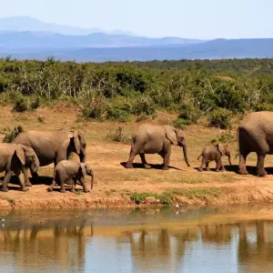 Explore The Kenyan Safari - Small Group for 10 days with Global Conquest and discover unforgettable experiences - Photo 8