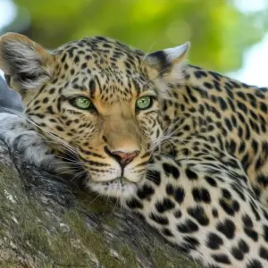 Explore The Kenyan Safari - Small Group for 10 days with Global Conquest and discover unforgettable experiences - Photo 9