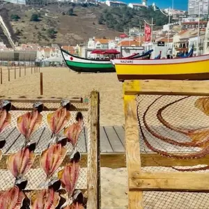 Explore Portugal Slowcation – April 2026 for 11 days with Globe Drifters and discover unforgettable experiences - Photo 6