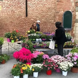 Explore Tuscany/Umbria 10-Day Slowcation for 10 days with Globe Drifters and discover unforgettable experiences - Photo 5