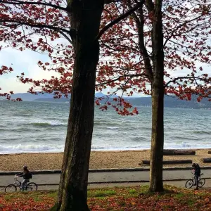 Explore Half-Day Private Guided City Tour of Vancouver for Couples for 1 days with Globalduniya and discover unforgettable experiences - Photo 3