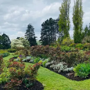 Explore Vancouver Romantic Couple Luxury Tour Private for 1 days with Globalduniya and discover unforgettable experiences - Photo 5