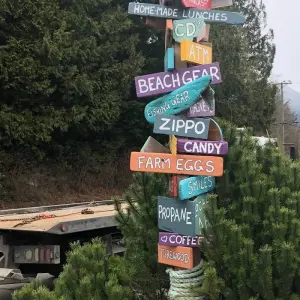 Explore Vancouver 4 Days island Adventure Tour Vancouver, Victoria, Ucluelet, Tofino and Nanaimo for 4 days with Globalduniya and discover unforgettable experiences - Photo 5