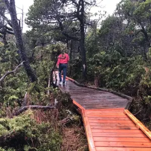 Explore Vancouver 4 Days island Adventure Tour Vancouver, Victoria, Ucluelet, Tofino and Nanaimo for 4 days with Globalduniya and discover unforgettable experiences - Photo 6