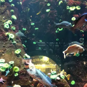 Explore Vancouver Wildlife 3 day Tour Private for 3 days with Globalduniya and discover unforgettable experiences - Photo 4