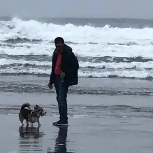 Explore Vancouver 4 Days island Adventure Tour Vancouver, Victoria, Ucluelet, Tofino and Nanaimo for 4 days with Globalduniya and discover unforgettable experiences - Photo 7