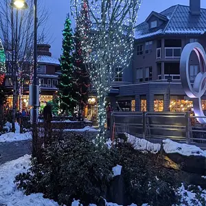 Explore Vancouver, Whistler and Victoria 3 Day Budget Tour for 3 days with Globalduniya and discover unforgettable experiences - Photo 5