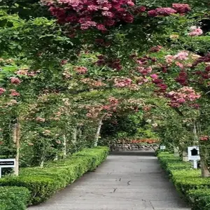 Explore 3 Days Vancouver-Victoria, Duncan, Chemainus, Nanaimo Private Tour for 3 days with Globalduniya and discover unforgettable experiences - Photo 5