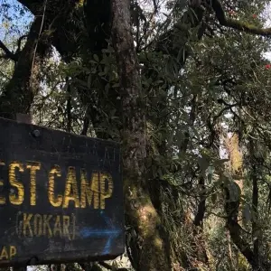 Explore Mardi Himal Trek from Pokhara - 5 Days for 5 days with Glorious Himalaya Trekking Pvt. Ltd. and discover unforgettable experiences - Photo 2