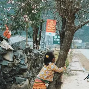 Explore Viet Nam North Adventure 5 Day 4 Night Exploring Hanoi - Ha Giang Loops for 5 days with Go Asia Travel and discover unforgettable experiences - Photo 4