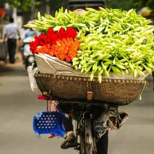 Explore North to South Vietnam - 10 Days for 10 days with Go Asia Travel and discover unforgettable experiences - Photo 4