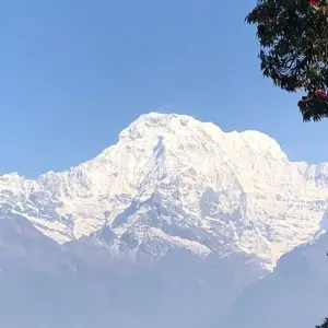 Explore Mardi Himal Trek from Pokhara - 5 Days for 5 days with Glorious Himalaya Trekking Pvt. Ltd. and discover unforgettable experiences - Photo 4