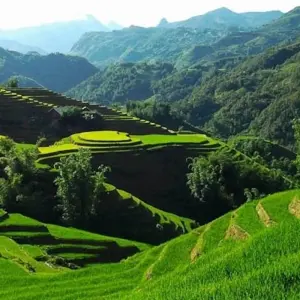 Explore Sapa & Ta Van (Hotel) - 2 Days for 2 days with Go Asia Travel and discover unforgettable experiences - Photo 6