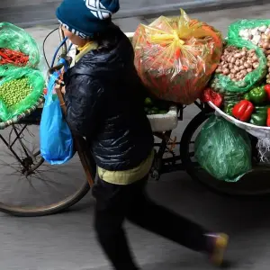 Explore North to South Vietnam - 10 Days for 10 days with Go Asia Travel and discover unforgettable experiences - Photo 6