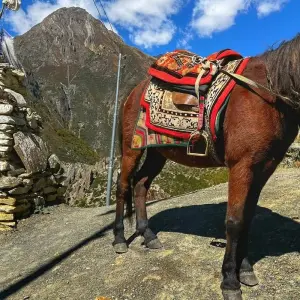 Explore Annapurna Circuit with Ghorepani Poon Hill Trek - 15 Days for 15 days with Glorious Himalaya Trekking Pvt. Ltd. and discover unforgettable experiences - Photo 2