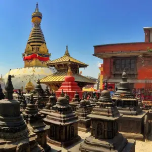 Explore Nepal Sightseeing and Jungle safari tour - 8 Days for 8 days with Glorious Himalaya Trekking Pvt. Ltd. and discover unforgettable experiences - Photo 6