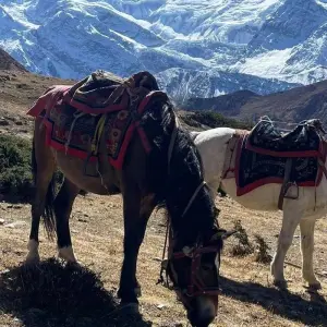 Explore Annapurna Circuit Trekking - 9 Days for 9 days with Glorious Himalaya Trekking Pvt. Ltd. and discover unforgettable experiences - Photo 2