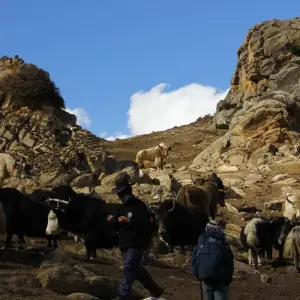 Explore Nar Phu Valley Trek - 12 Days for 12 days with Glorious Himalaya Trekking Pvt. Ltd. and discover unforgettable experiences - Photo 7