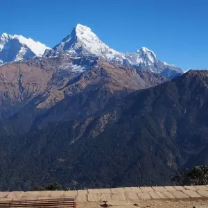 Explore Mardi Himal Trek - 9 Days for 9 days with Glorious Himalaya Trekking Pvt. Ltd. and discover unforgettable experiences - Photo 4