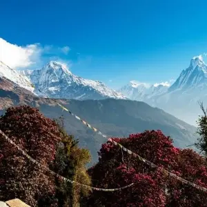 Explore Mohare Danda Trek - 10 Days for 10 days with Glorious Himalaya Trekking Pvt. Ltd. and discover unforgettable experiences - Photo 3