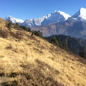 Explore Mohare Danda Trek - 10 Days for 10 days with Glorious Himalaya Trekking Pvt. Ltd. and discover unforgettable experiences - Photo 4