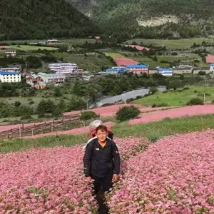 Explore Annapurna Circuit Trek - 14 Days for 14 days with Glorious Himalaya Trekking Pvt. Ltd. and discover unforgettable experiences - Photo 7