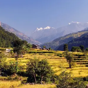 Explore Manaslu Circuit Trekking - 14 Days for 14 days with Glorious Himalaya Trekking Pvt. Ltd. and discover unforgettable experiences - Photo 5