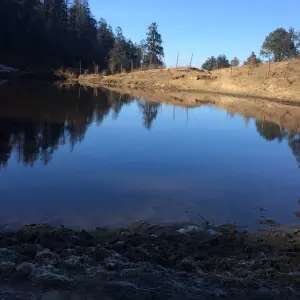 Explore Mohare Danda Trek - 10 Days for 10 days with Glorious Himalaya Trekking Pvt. Ltd. and discover unforgettable experiences - Photo 5