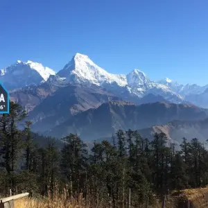 Explore Mohare Danda Trek - 10 Days for 10 days with Glorious Himalaya Trekking Pvt. Ltd. and discover unforgettable experiences - Photo 8