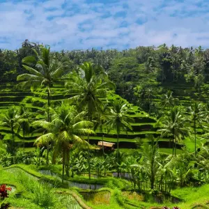 Explore Independent Bali Explorer for 5 days with Globus and discover unforgettable experiences - Photo 2
