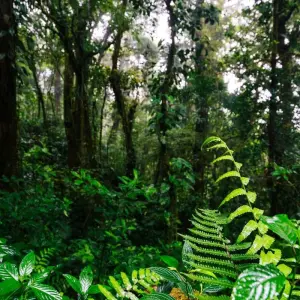 Explore Independent Costa Rica Wonders for 7 days with Globus and discover unforgettable experiences - Photo 3