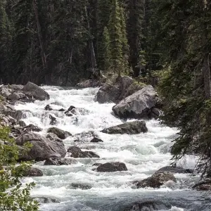 Explore Glacier National Park & the Canadian Rockies with the Calgary Stampede for 11 days with Globus and discover unforgettable experiences - Photo 2